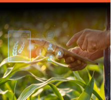 Agriculture